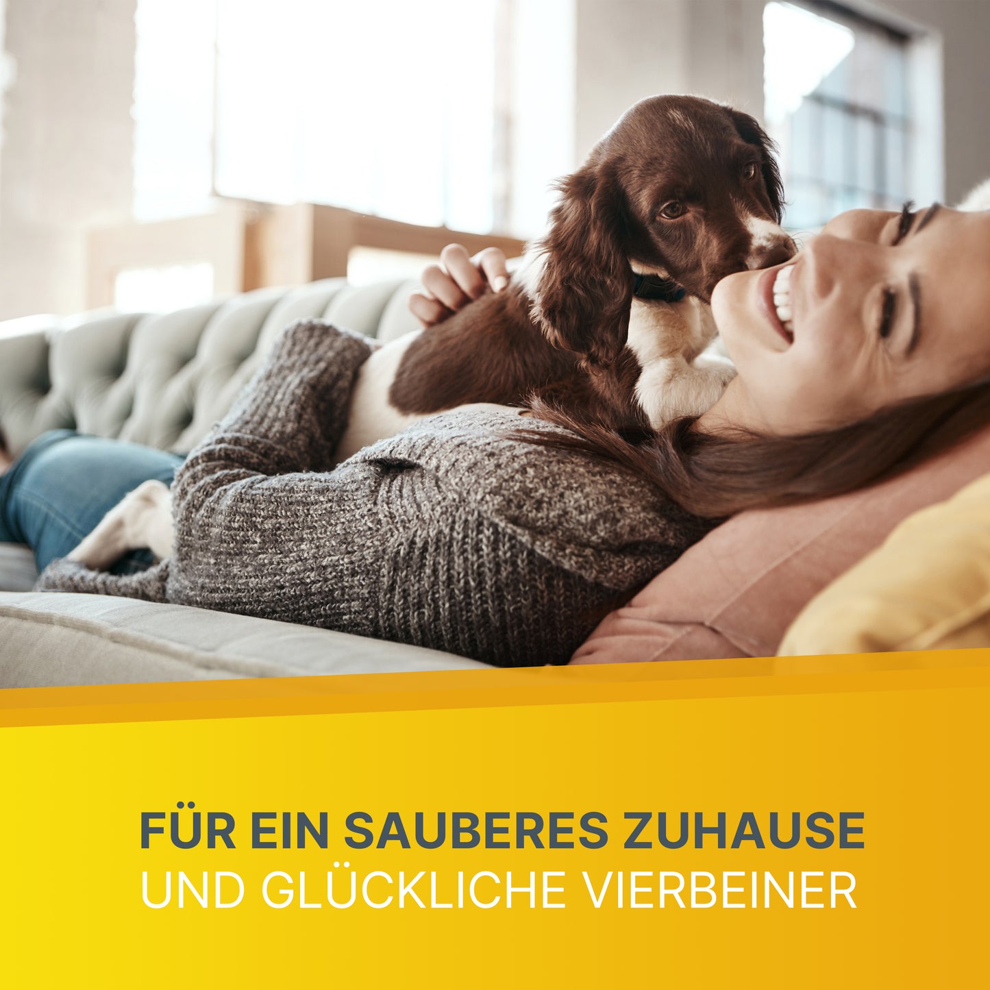 KLARBERG® Enzymreiniger 500 ml - Hundeurin Katzenurin Geruchsentferner